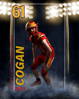 cogan2