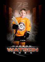 Watson