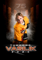THEODOR.VASILIK.2024