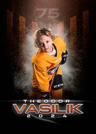 THEODOR.VASILIK.2024
