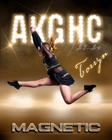 akghc2.2