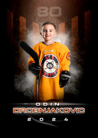 ODIN.DROBNJAKOVIC.2024.