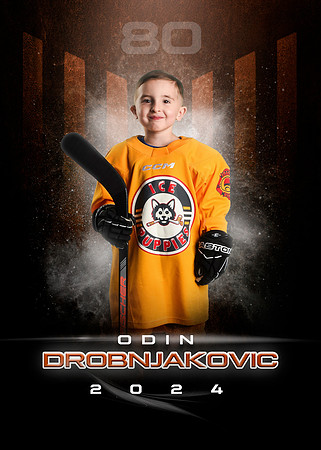 ODIN.DROBNJAKOVIC.2024.