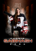 PUDGIE.SABINASH.2024
