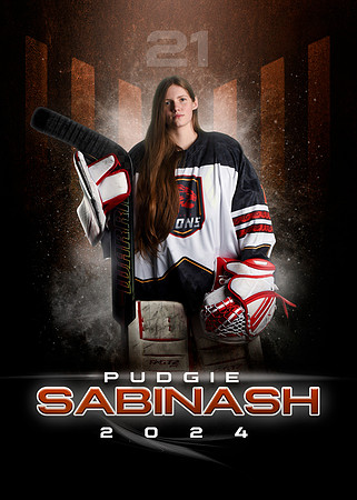 PUDGIE.SABINASH.2024