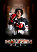 eugene.haugen copy