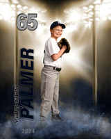 palmer24