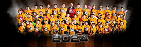 Learn to Skate 2024