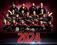 TEAMMOBLEY2024