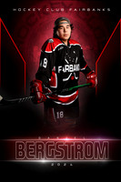 Bergstrom