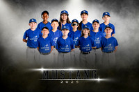 Mustang.dodgers.team