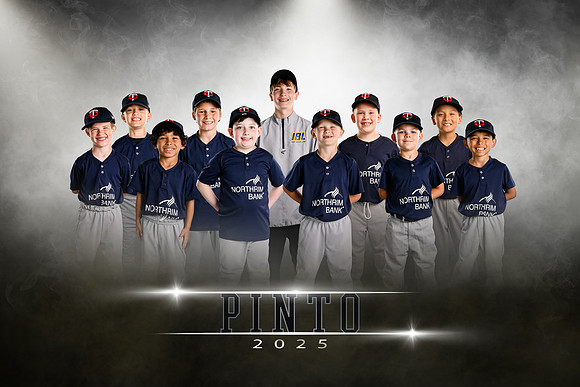 pinto.twins.team