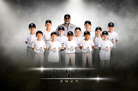 pinto.yankees.team