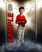 sample24