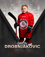 Drobnjakovic