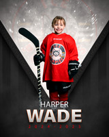 Wade