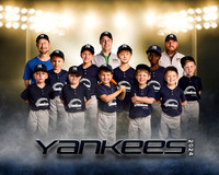 yankees