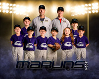 marlins copy