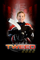 22TWEED