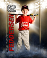 feddersen'24