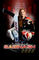 22PSABINASH