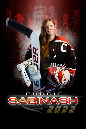 22PSABINASH