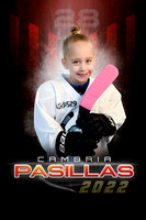 22PASILLASCAM