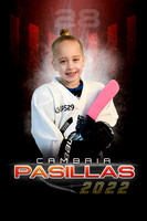 22PASILLASCAM3