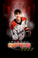 22JACKSONSIPES