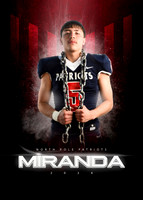 MIRANDA5 copy