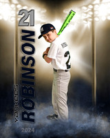 robinson.2024