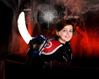 SIPES3