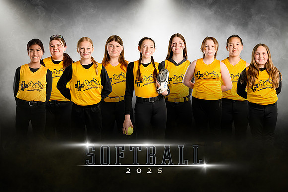 Alcan 12U TEAM