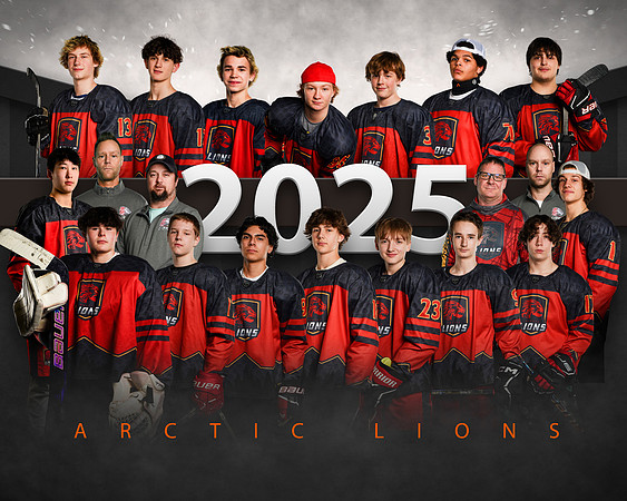 16UAARTICLIONS