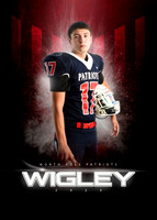 WIGLEY17 copy