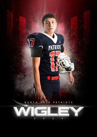 WIGLEY17 copy