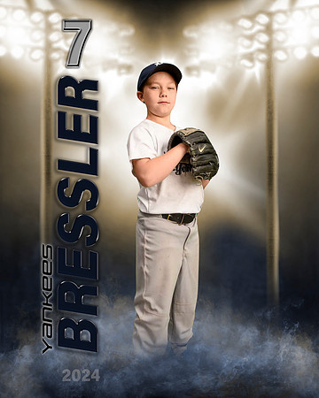Bressler24