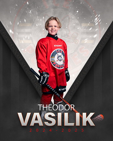 THEODOR.VASILIK.2025