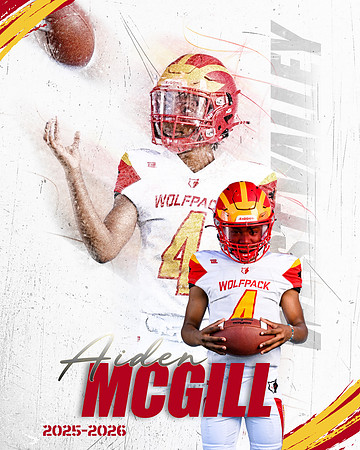 aiden.mcgill.2025