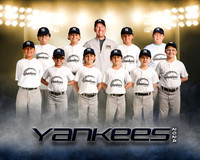 yankeesblack copy