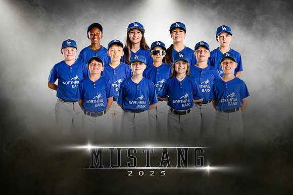 Mustang.dodgers.team
