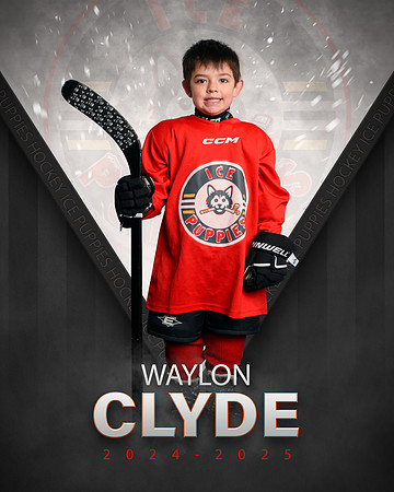 WAYLON.CLYDE.2025