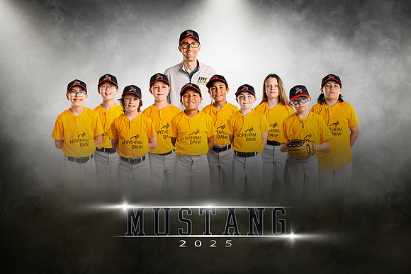 Mustang.cardinals.team