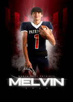 MELVIN1 copy