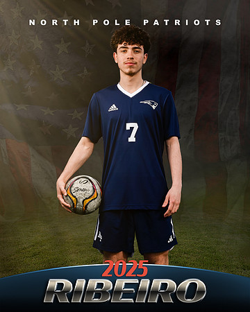 RIBEIRO2025