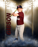 gibsonasher2024
