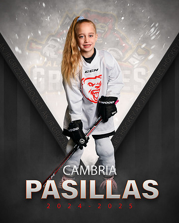 CAMBRIA.PASILLAS.2025