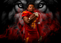 Stebbins