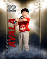 ayala24