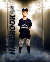 halbrook2024
